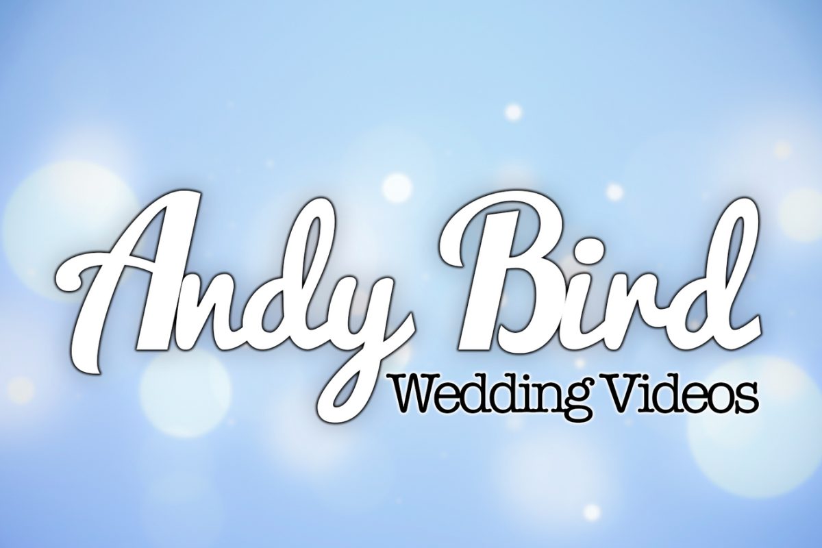 Andy Bird Wedding Videos